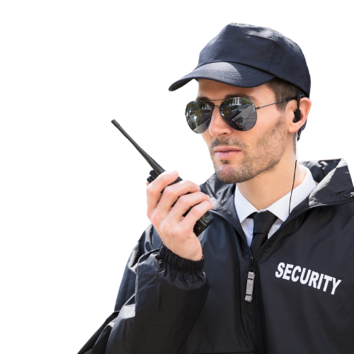 securite-canine